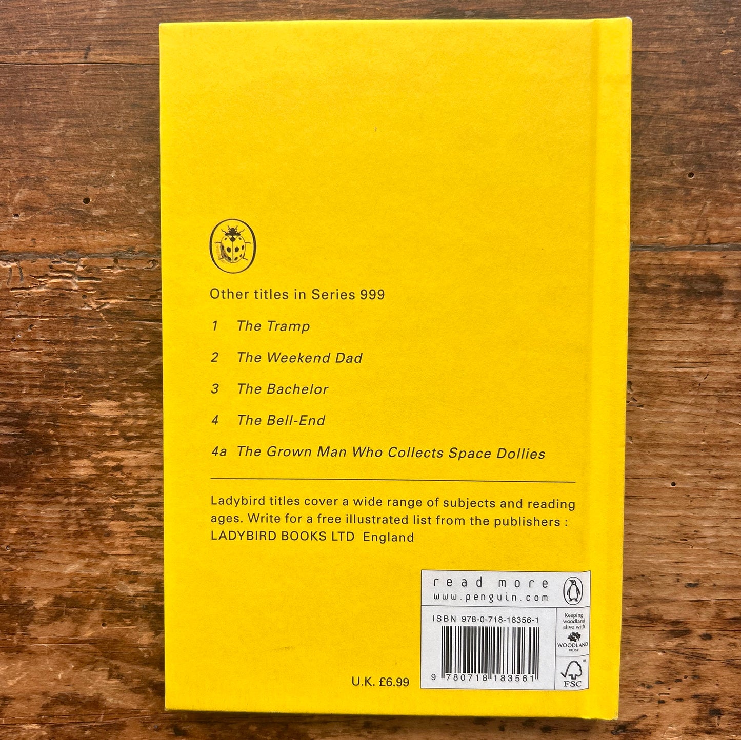 How it Works: The Husband - Ladybird Book (Preloved)