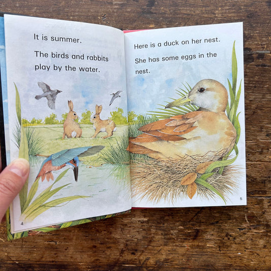 Read it Yourself - The Ugly Duckling - Vintage Ladybird 1985 (Preloved)