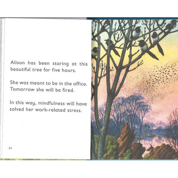 The Ladybird Book of Mindfulness