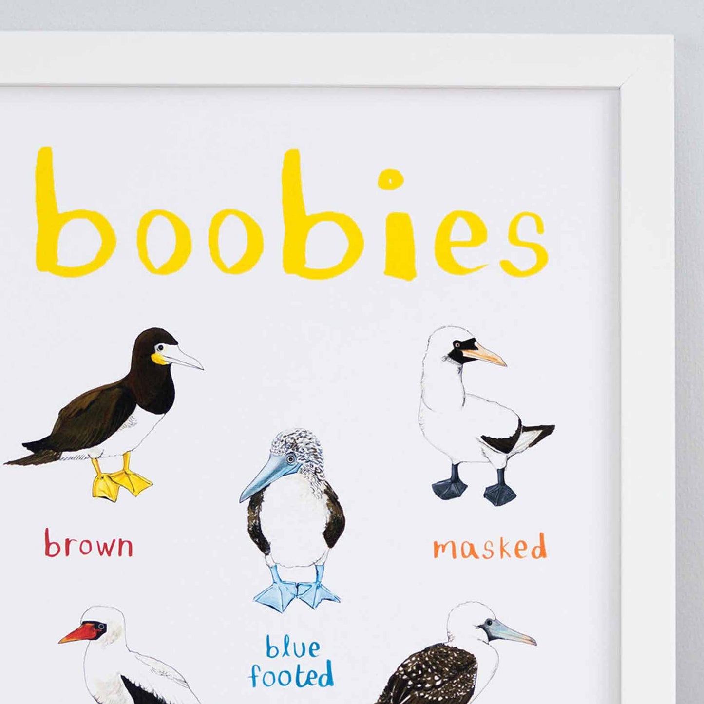Poster / Print - Fun Puns - Birds - Boobies