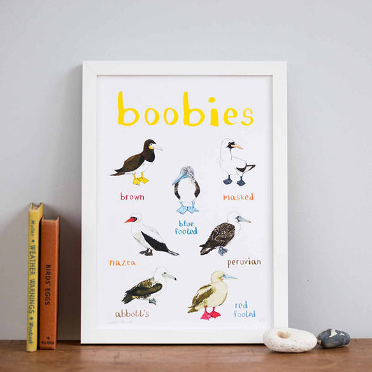 Poster / Print - Fun Puns - Birds - Boobies