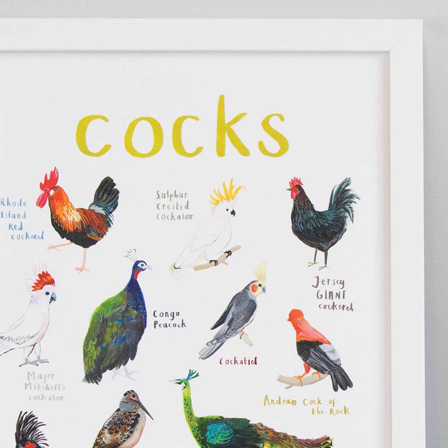 Poster / Print - Fun Puns - Birds - Cocks