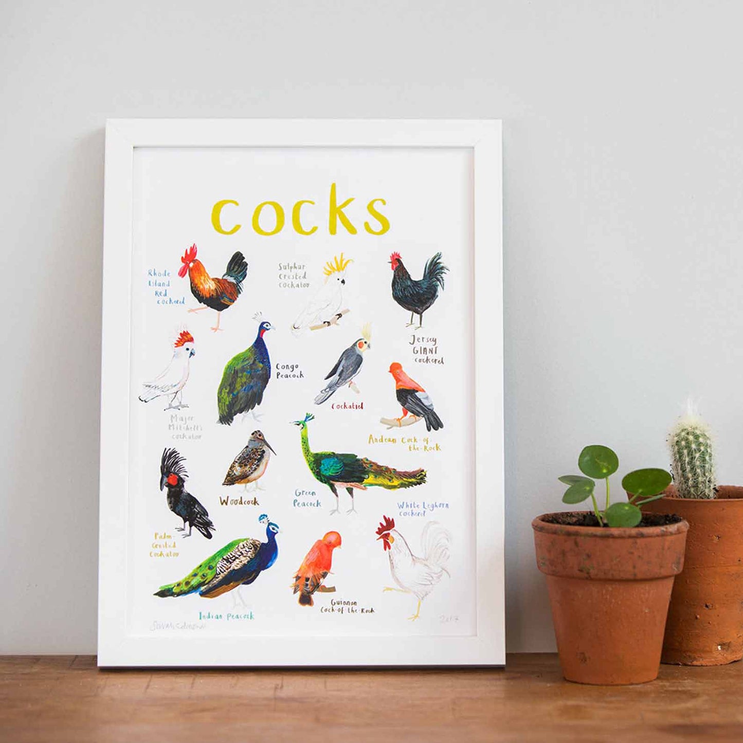 Poster / Print - Fun Puns - Birds - Cocks