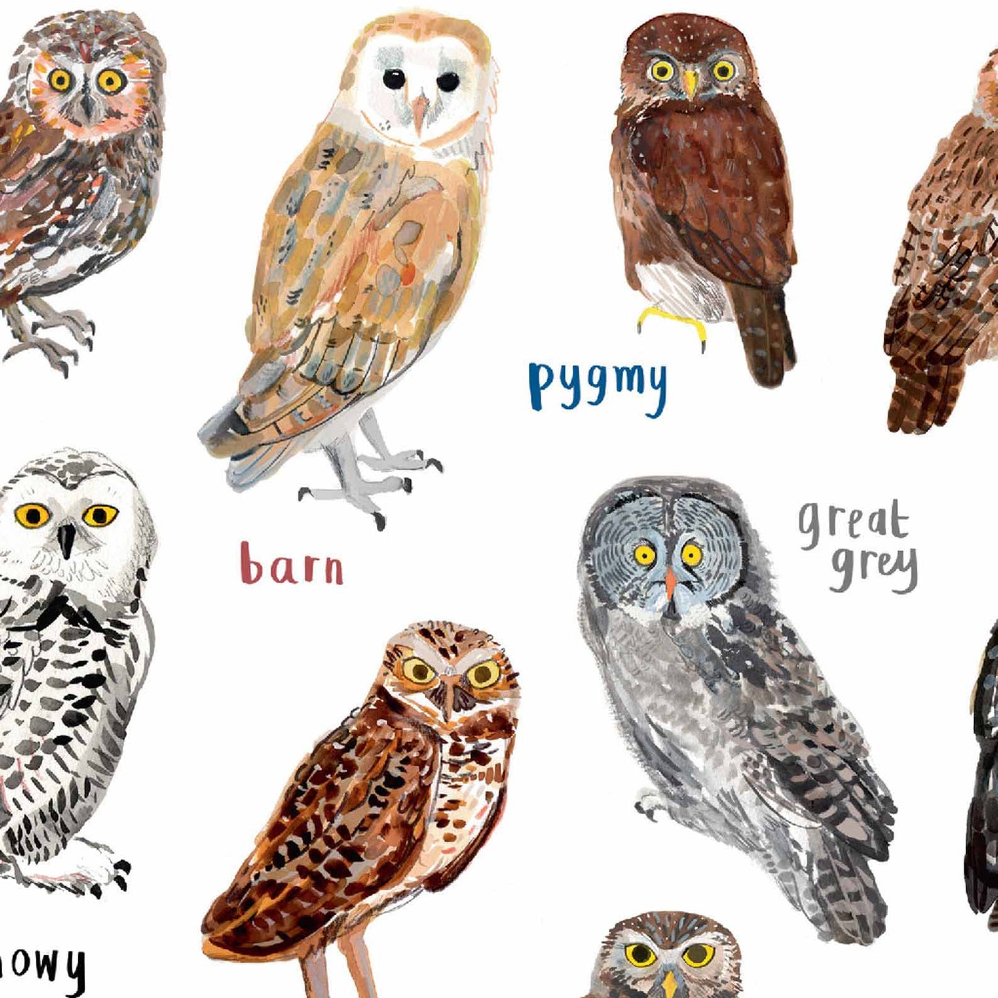 Poster / Print - Fun Puns - Birds - Hooters