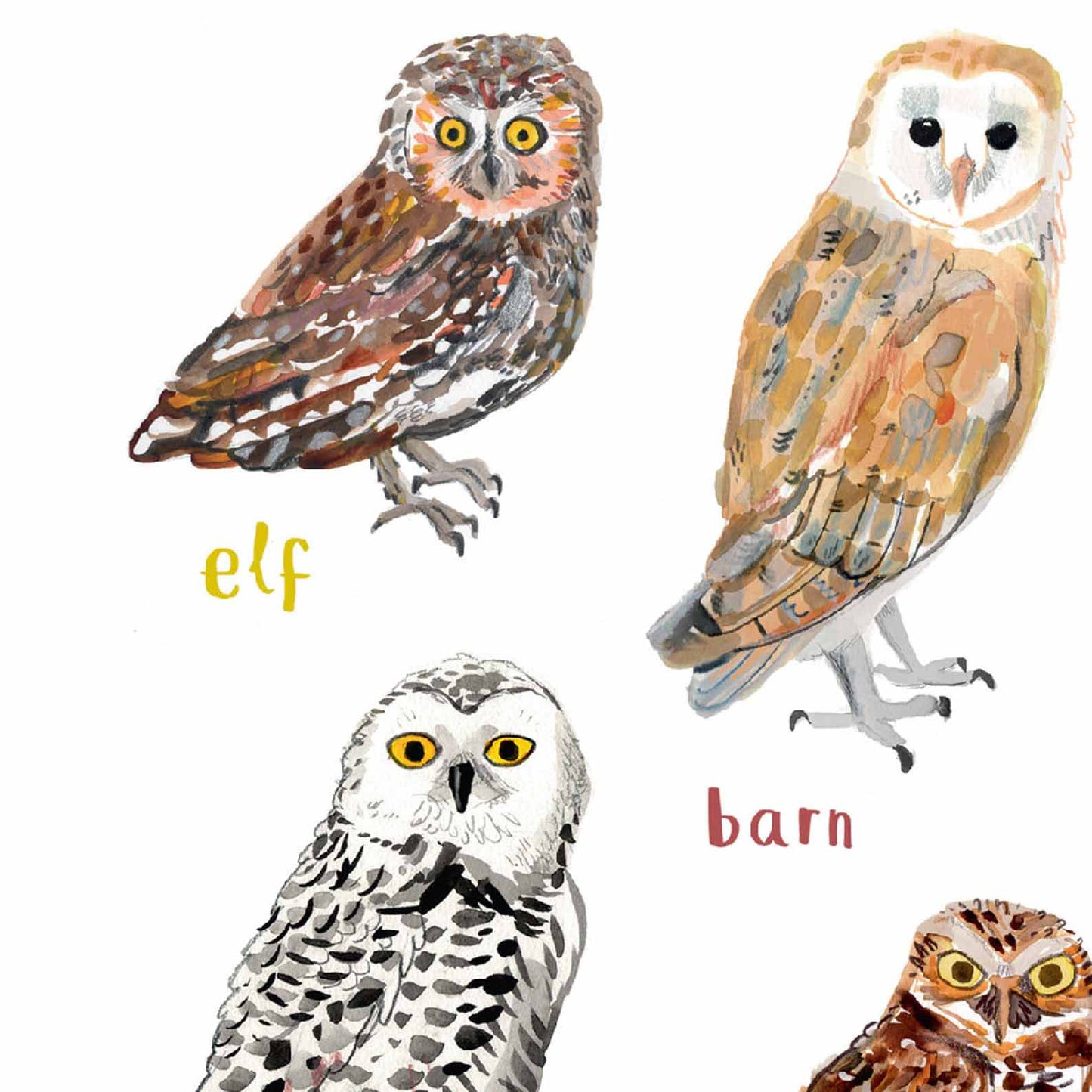 Poster / Print - Fun Puns - Birds - Hooters
