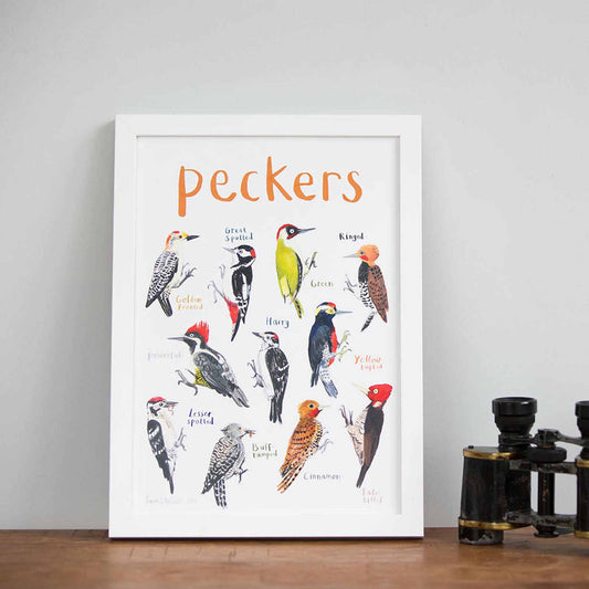 Poster / Print - Fun Puns - Birds - Peckers