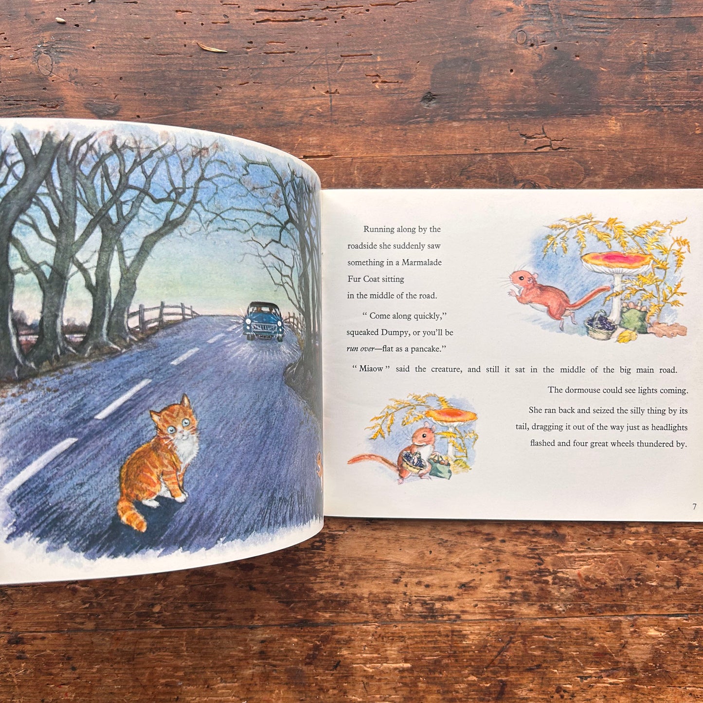 A Surprise for Dumpy - Molly Brett - Vintage 1964 (Preloved)