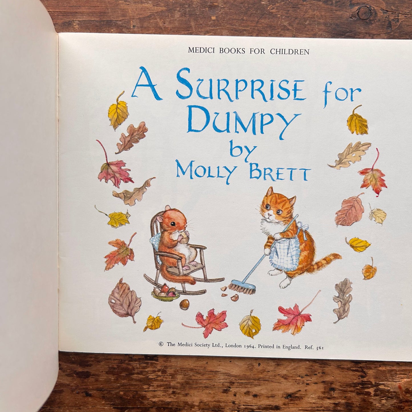 A Surprise for Dumpy - Molly Brett - Vintage 1964 (Preloved)