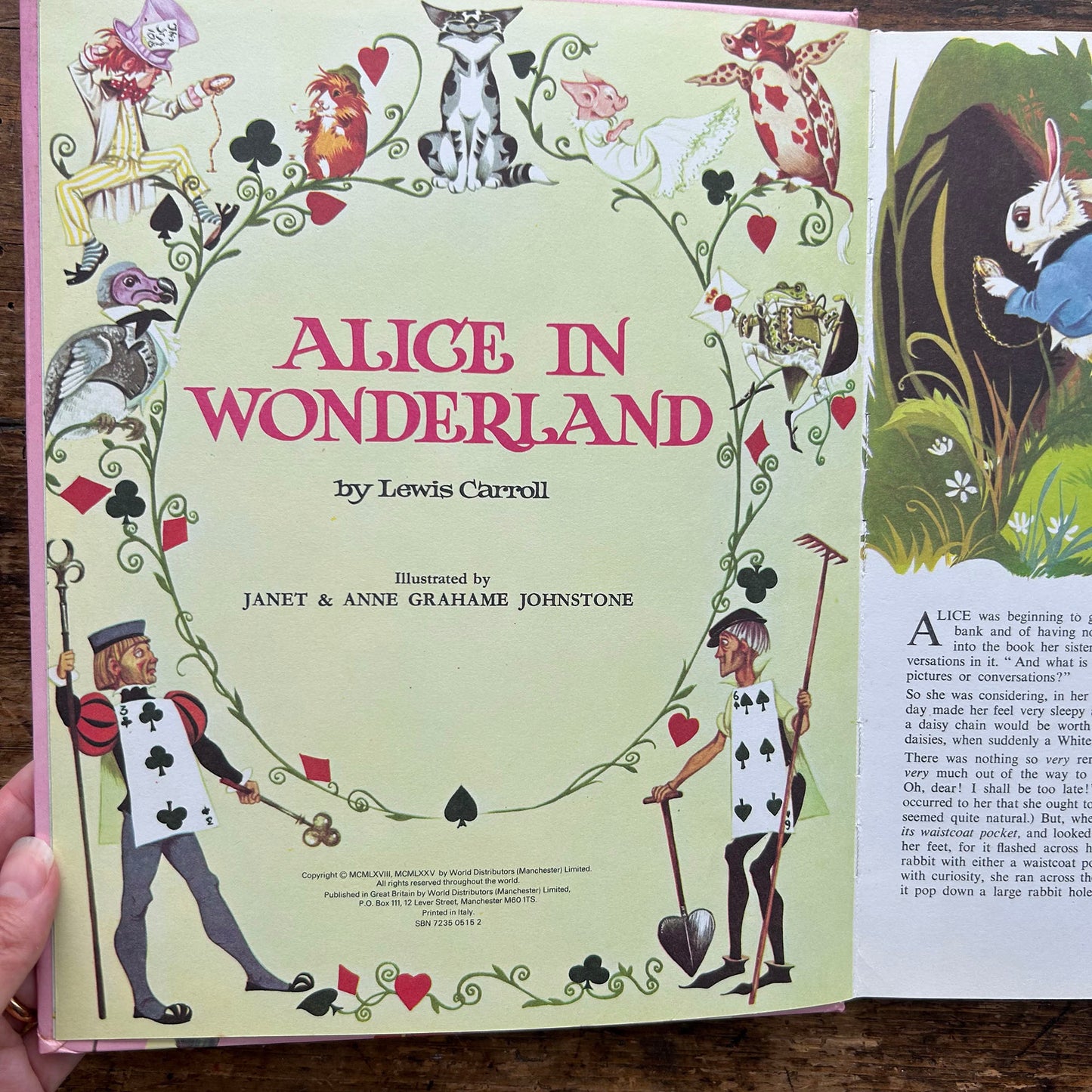 Alice in Wonderland - Janet & Anne Grahame Johnstone 1975 (Preloved)