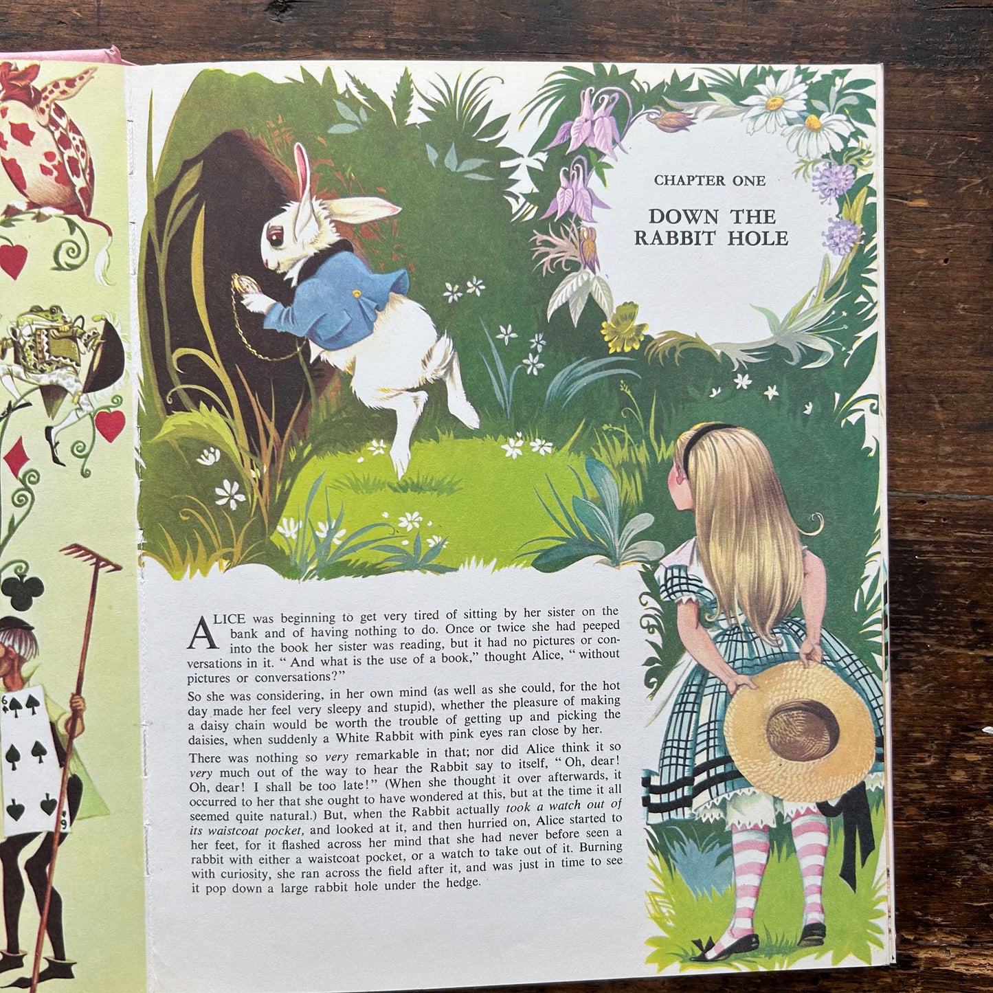 Alice in Wonderland - Janet & Anne Grahame Johnstone 1975 (Preloved)