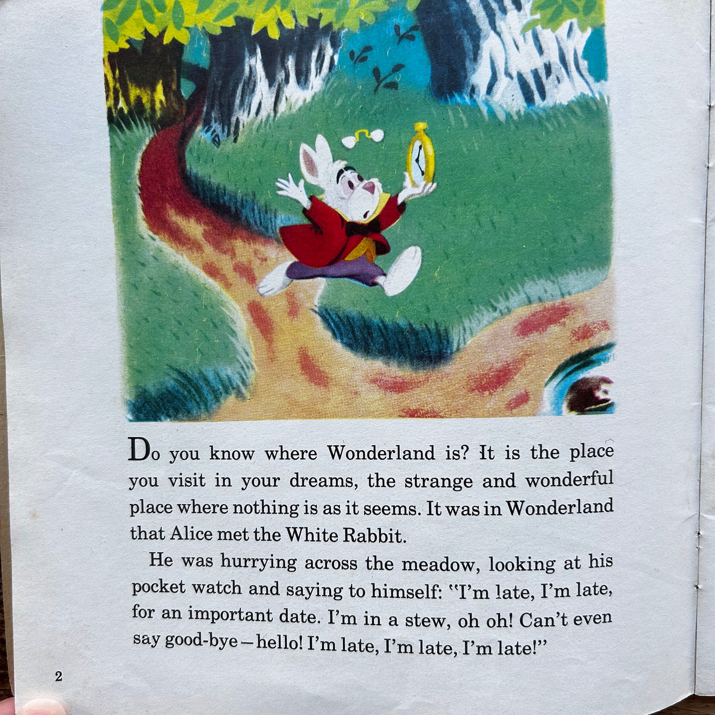 Alice in Wonderland - Vintage Walt Disney 1974 (Preloved)