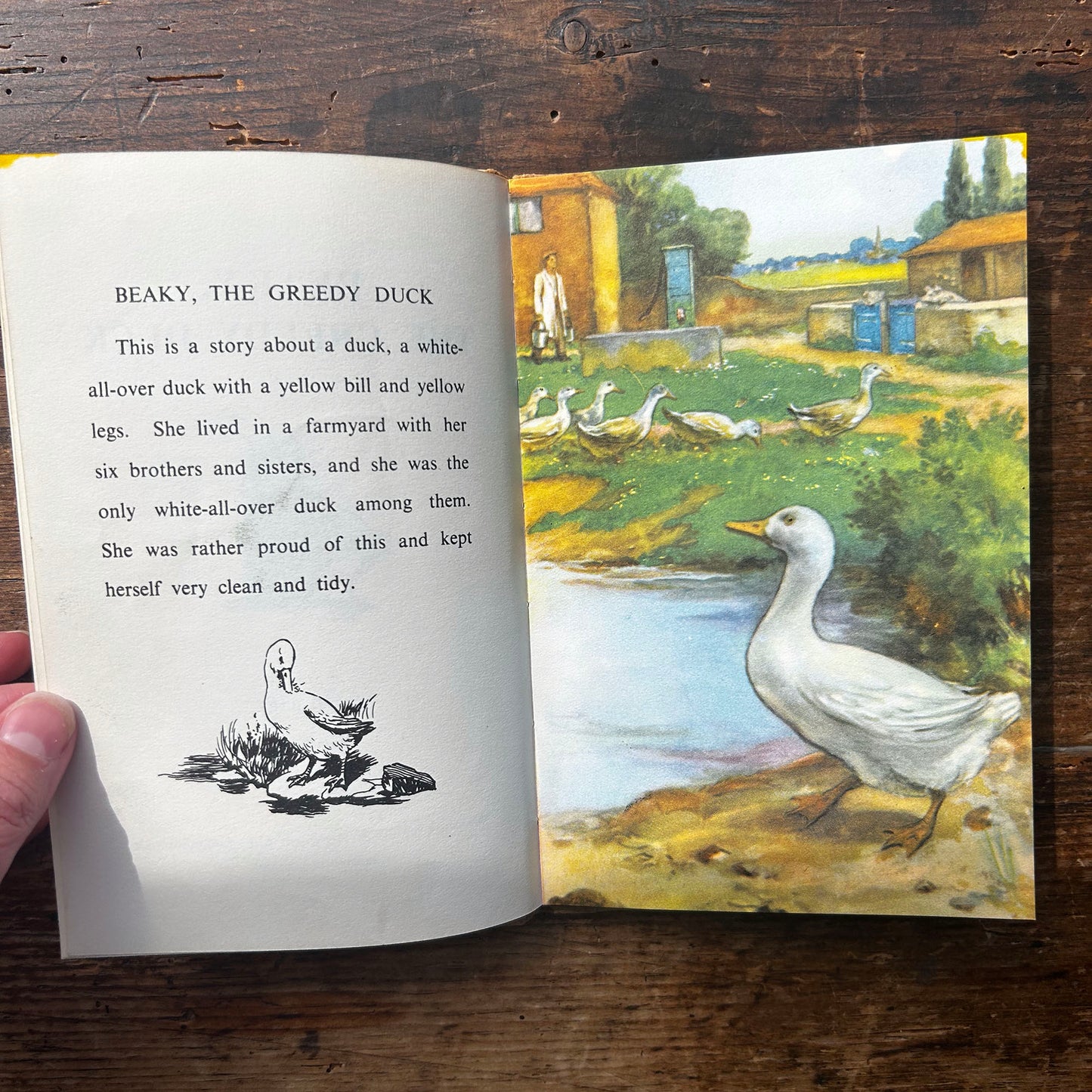 Beaky The Greedy Bird - Noel Barr &  P. B. Hickling - Vintage Ladybird (Preloved)
