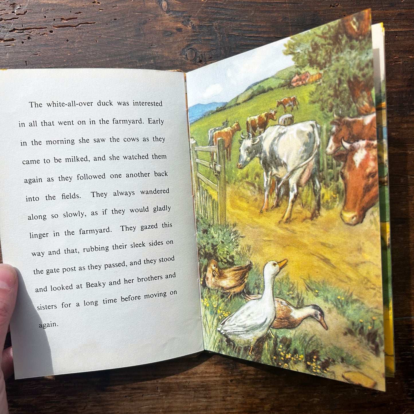 Beaky The Greedy Bird - Noel Barr &  P. B. Hickling - Vintage Ladybird (Preloved)