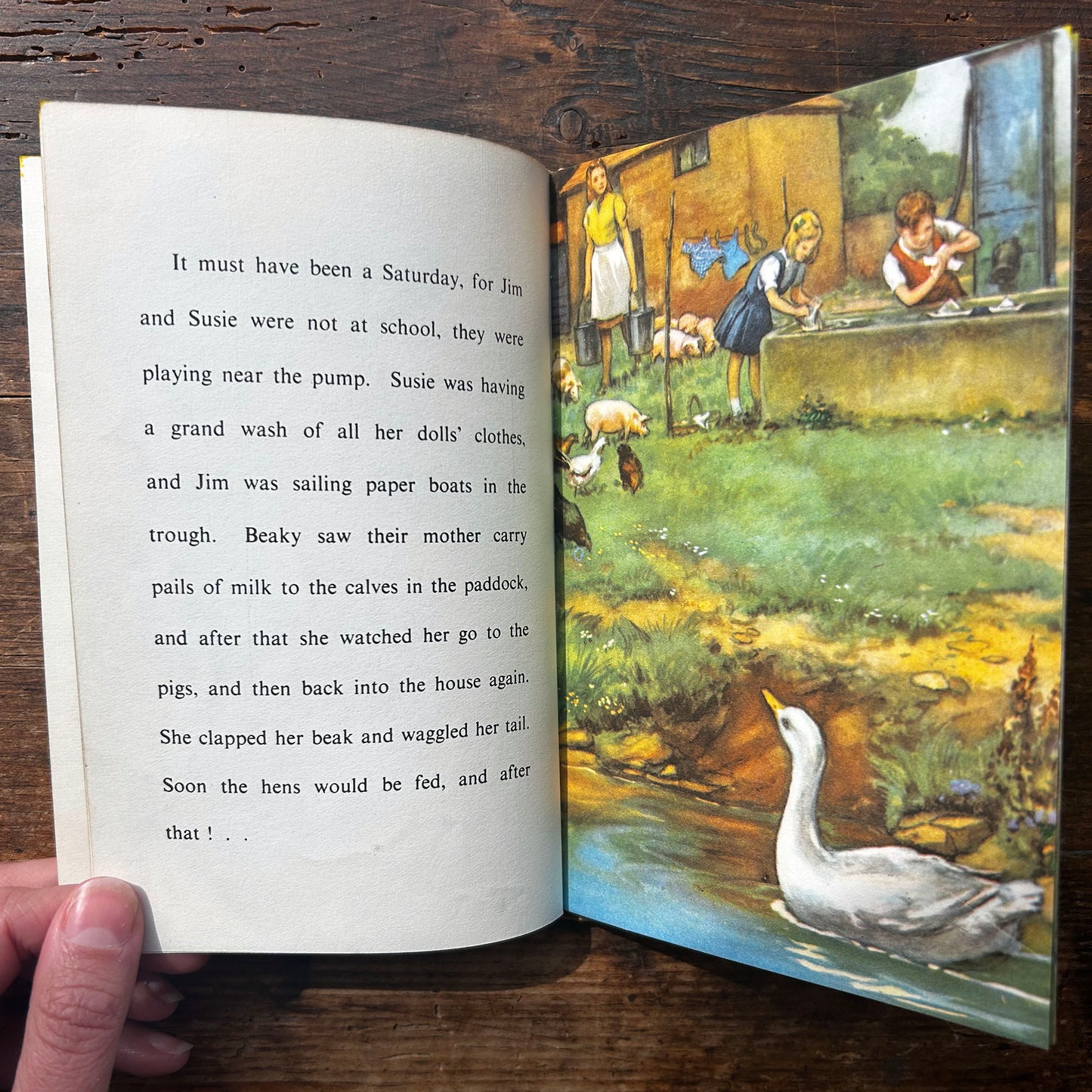 Beaky The Greedy Bird - Noel Barr &  P. B. Hickling - Vintage Ladybird (Preloved)