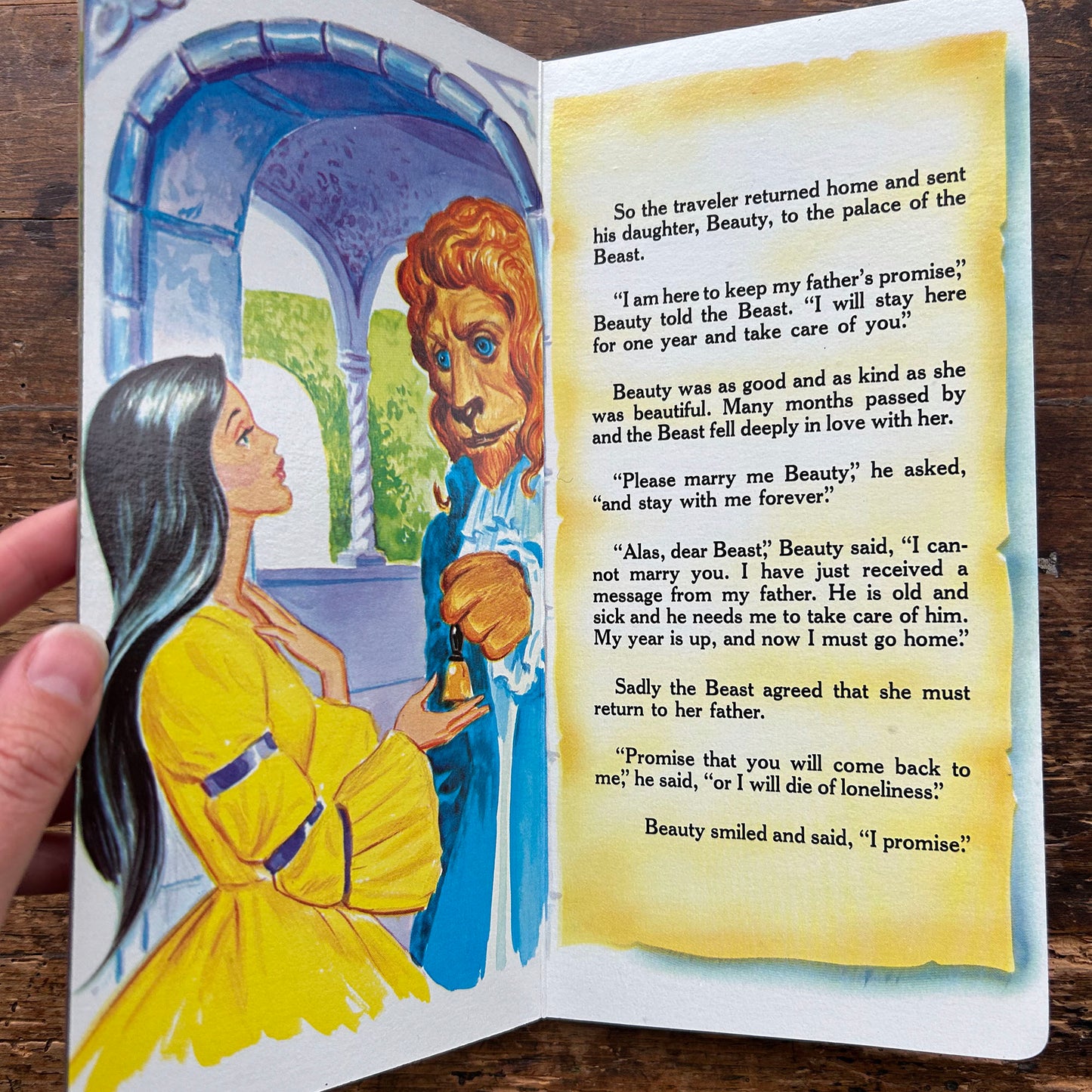 Beauty and The Beast - Norman Nodel - Vintage 1960s (Preloved)