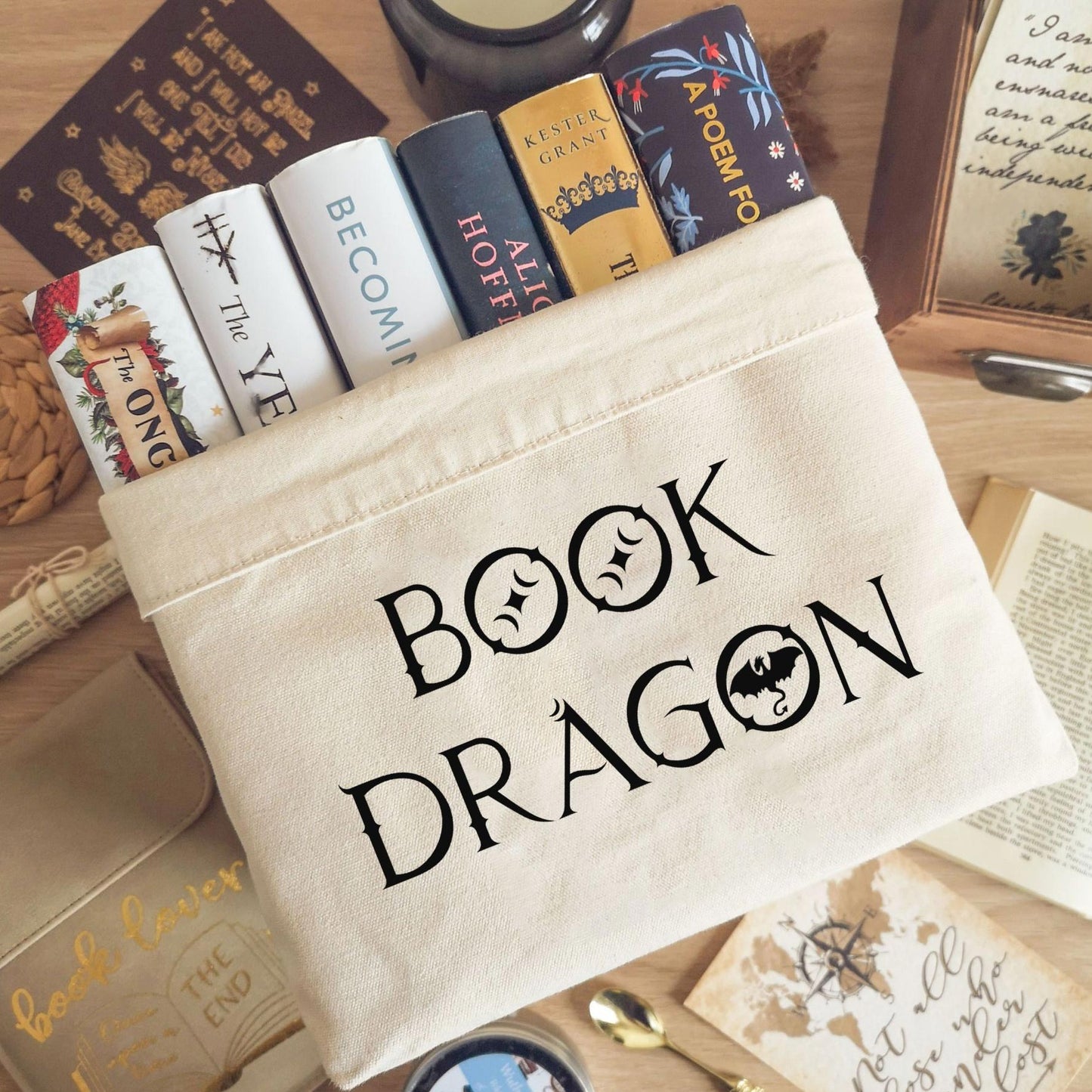 Book Basket / Canvas Organiser - Book Dragon