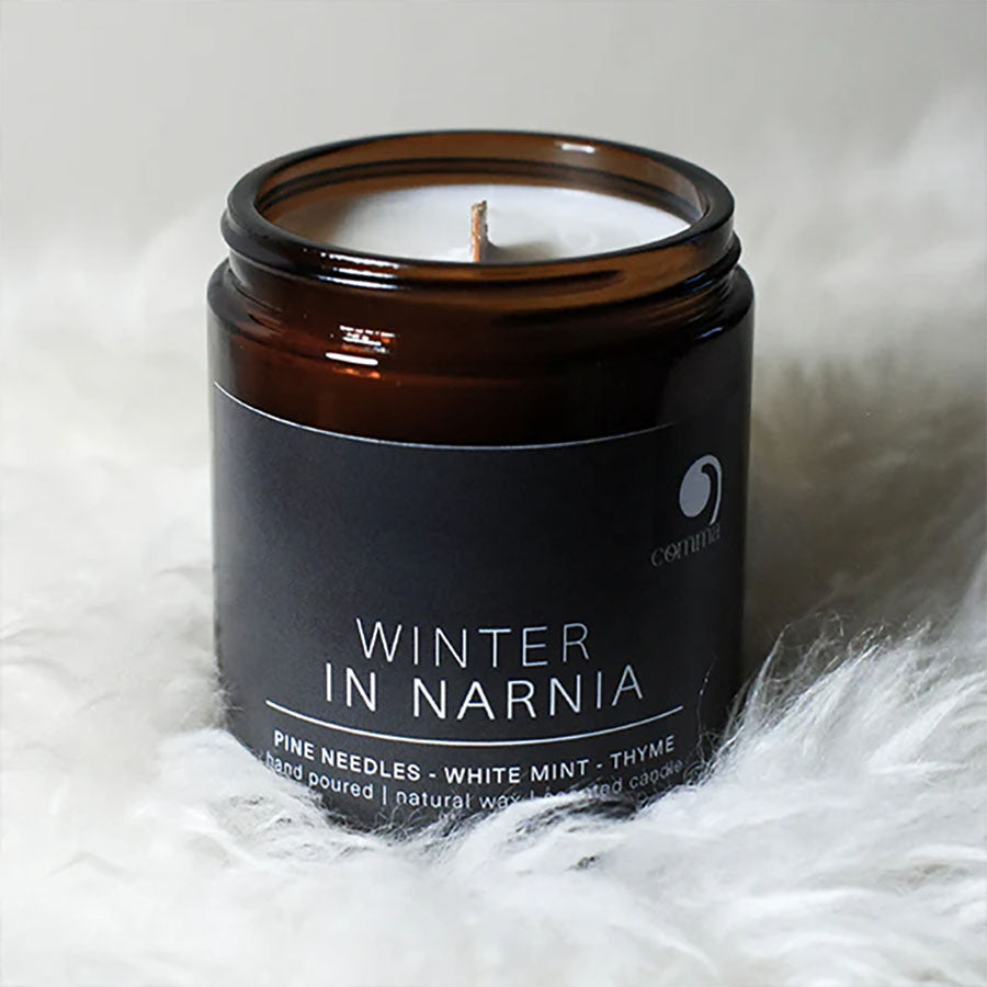 Book Candle - C. S. Lewis - Winter in Narnia