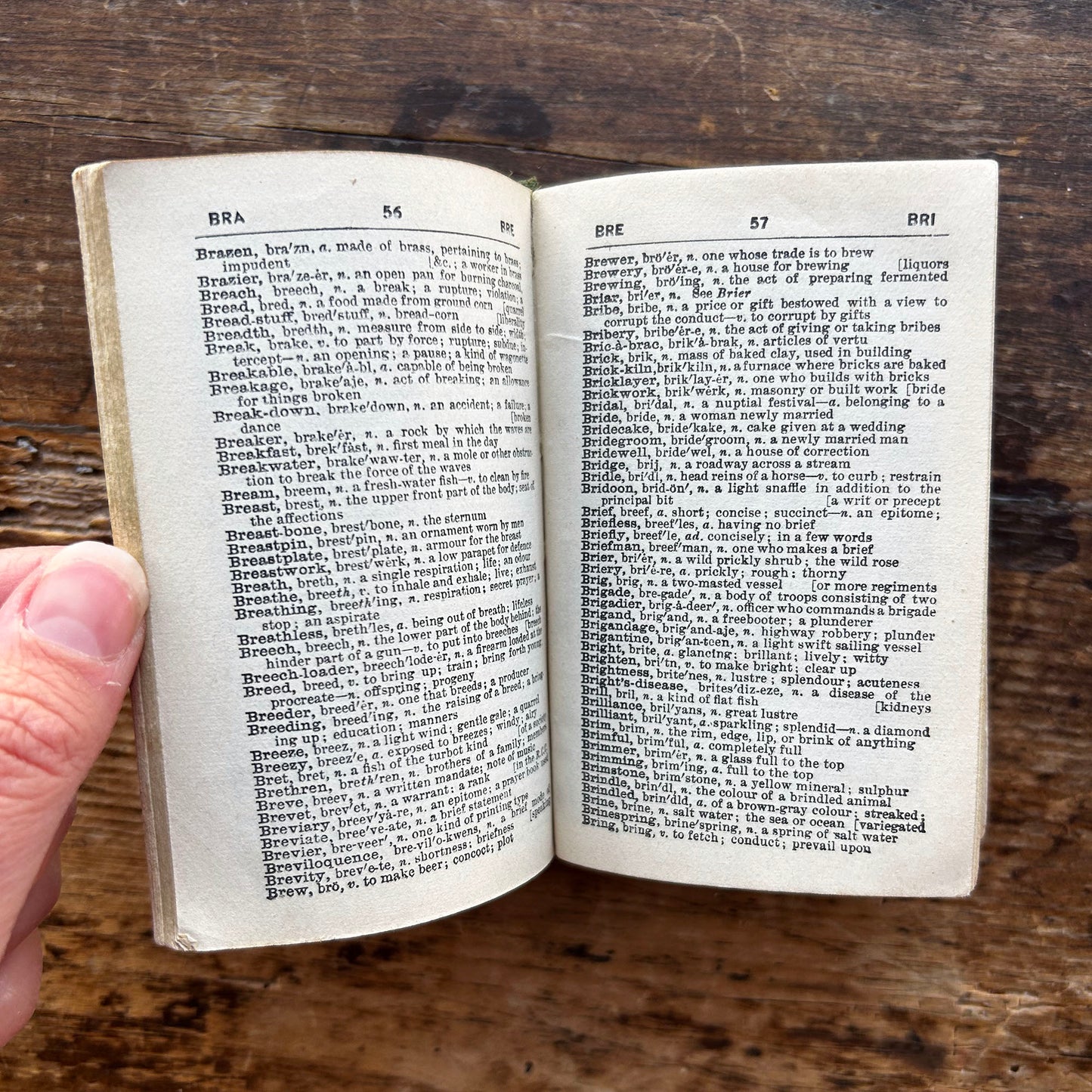 English Dictionary - Pocket Pronouncing - E. F. G. Series - E. H. Truslove - Antique (Preloved)