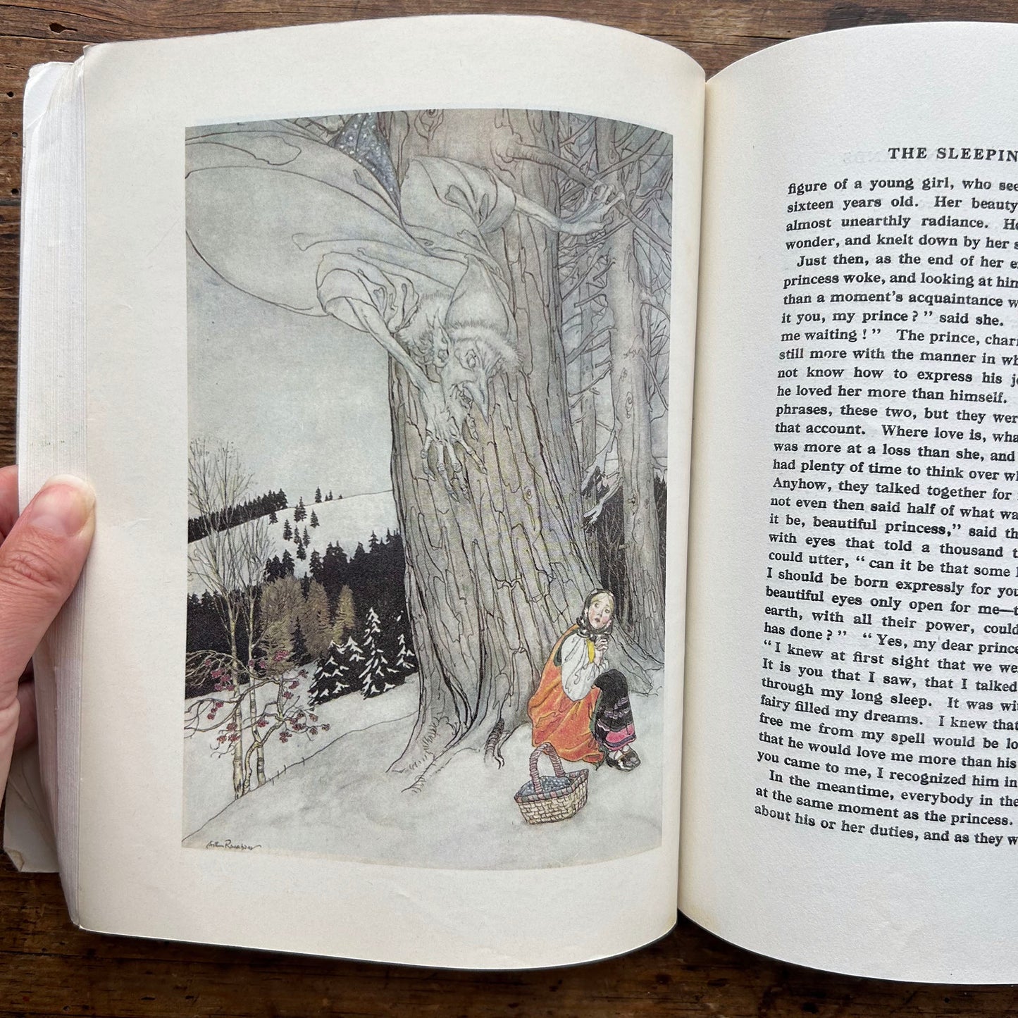 Fairy Tales from Many Lands - Arthur Rackham 1978 (Preloved)