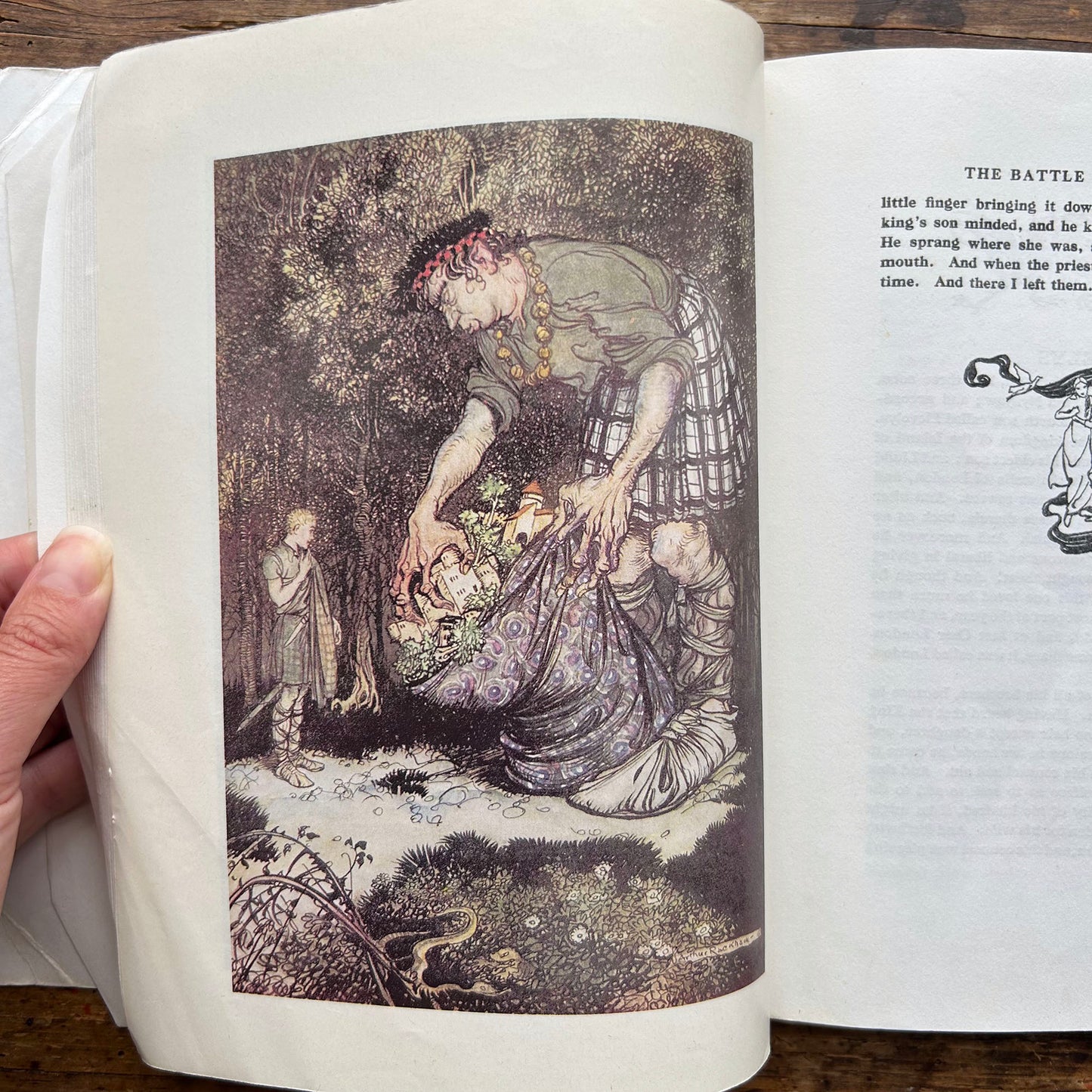 Fairy Tales from Many Lands - Arthur Rackham 1978 (Preloved)
