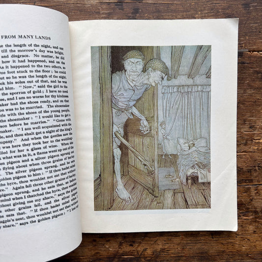 Fairy Tales from Many Lands - Arthur Rackham 1978 (Preloved)