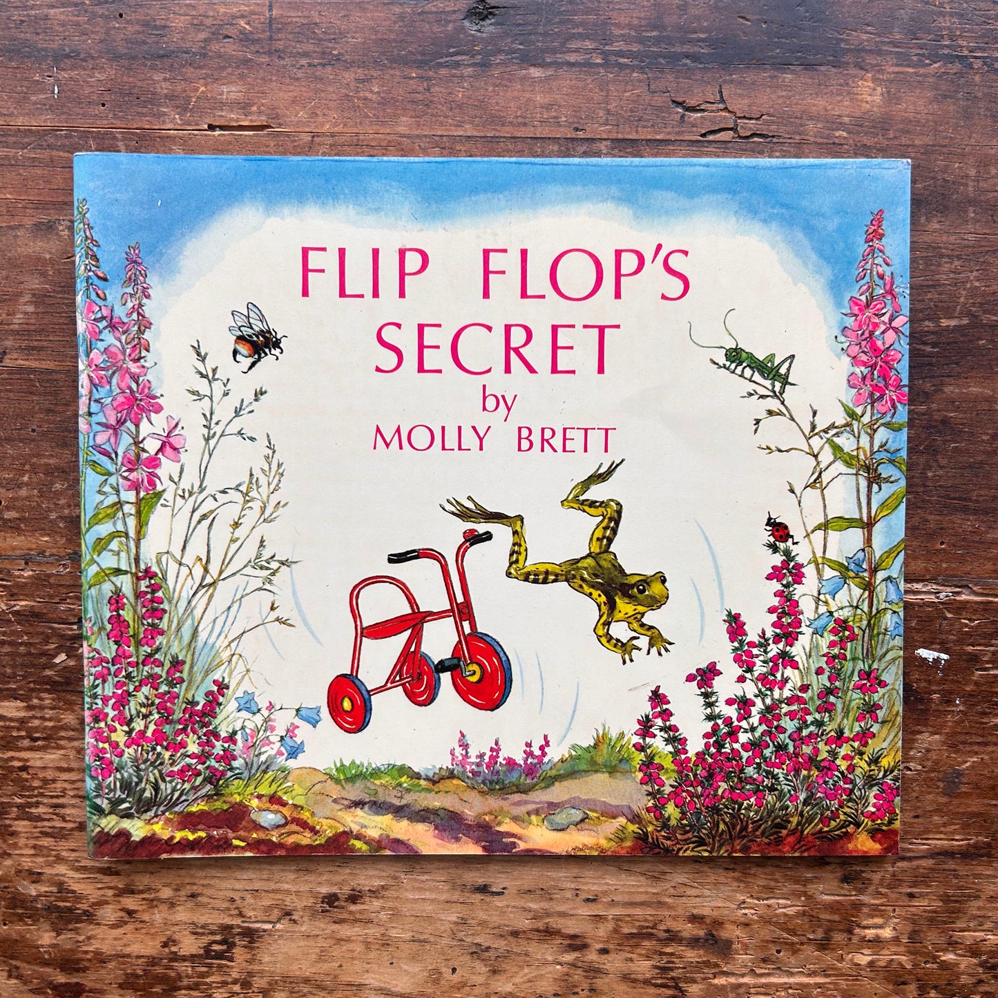 Flip Flop's Secret - Molly Brett - Vintage 1970 (Preloved)