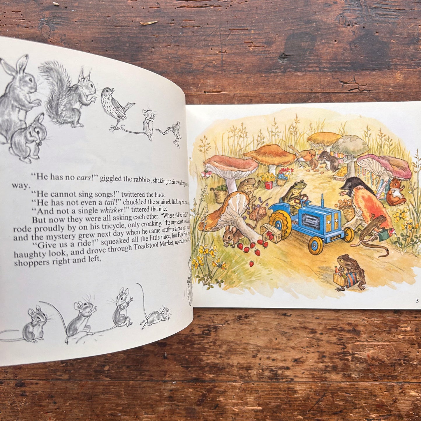 Flip Flop's Secret - Molly Brett - Vintage 1970 (Preloved)