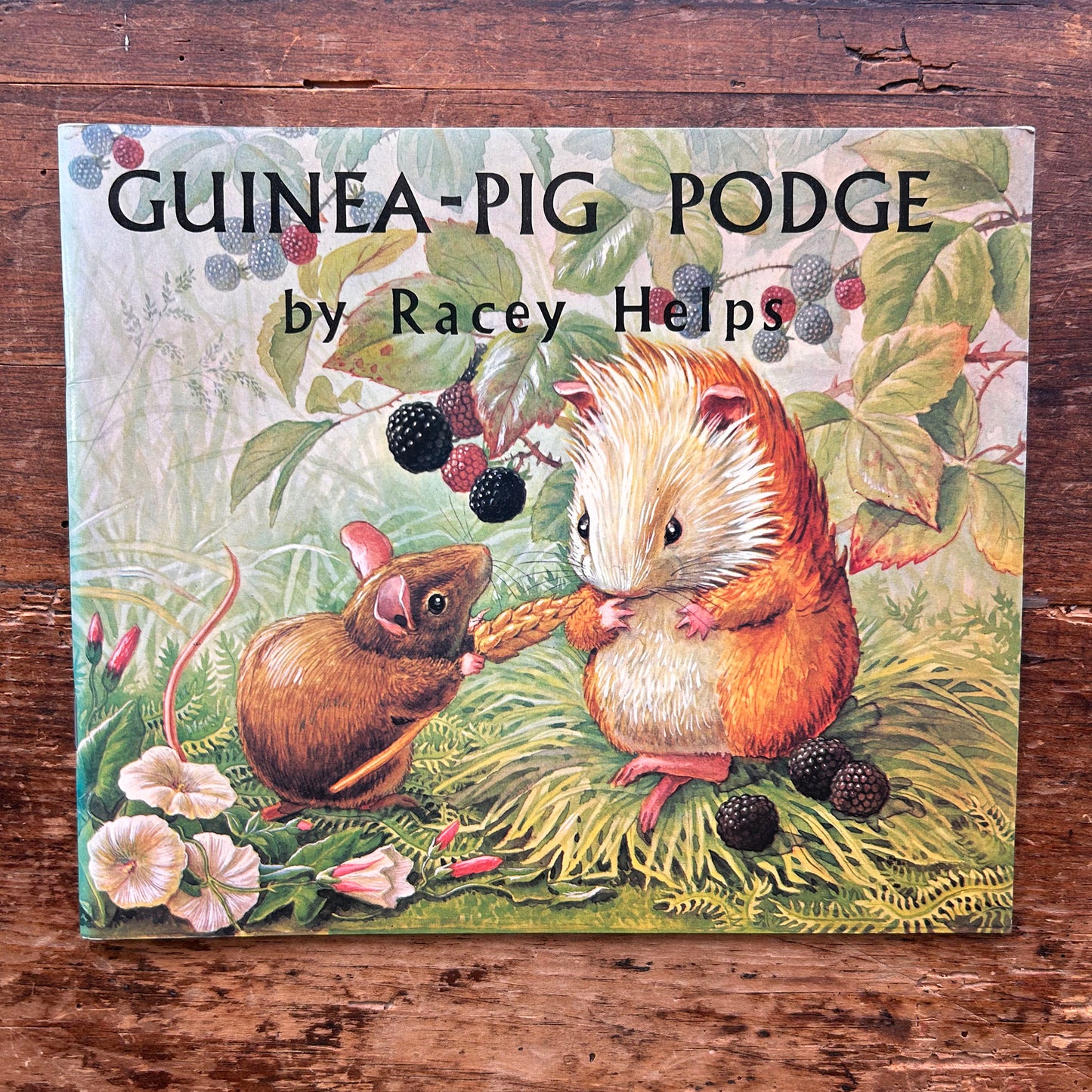 Guinea-Pig Podge - Racey Helps - Vintage 1971 (Preloved)