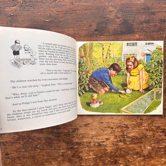 Guinea-Pig Podge - Racey Helps - Vintage 1971 (Preloved)