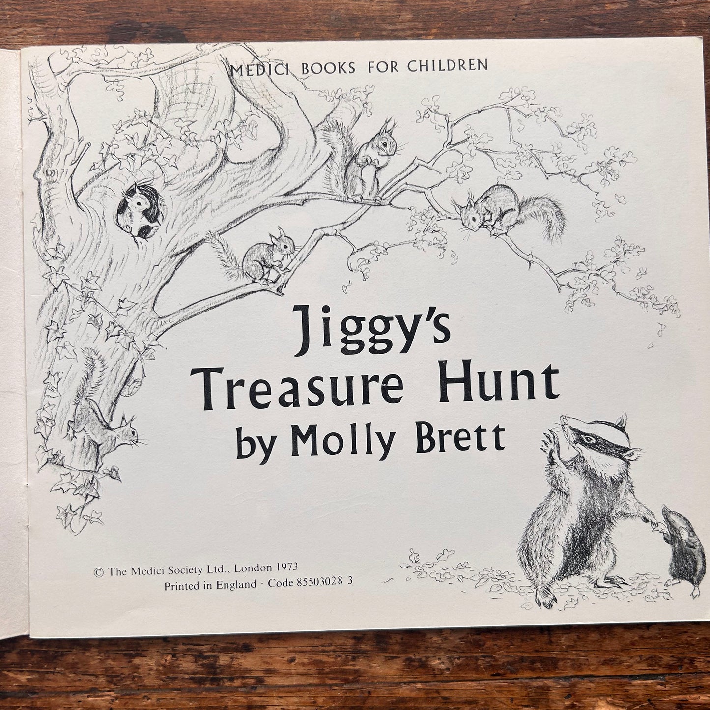Jiggy's Treasure Hunt - Molly Brett - Vintage 1973 (Preloved)
