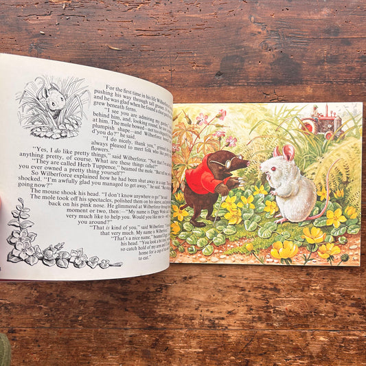 The Forgotten Bear - Molly Brett - Vintage 1968 (Preloved)