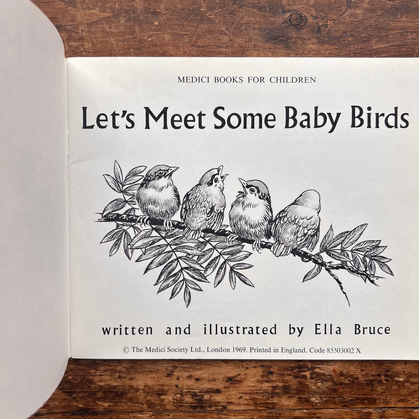 Let's Meet Some Baby Birds - Ella Bruce - Vintage 1969 (Preloved)