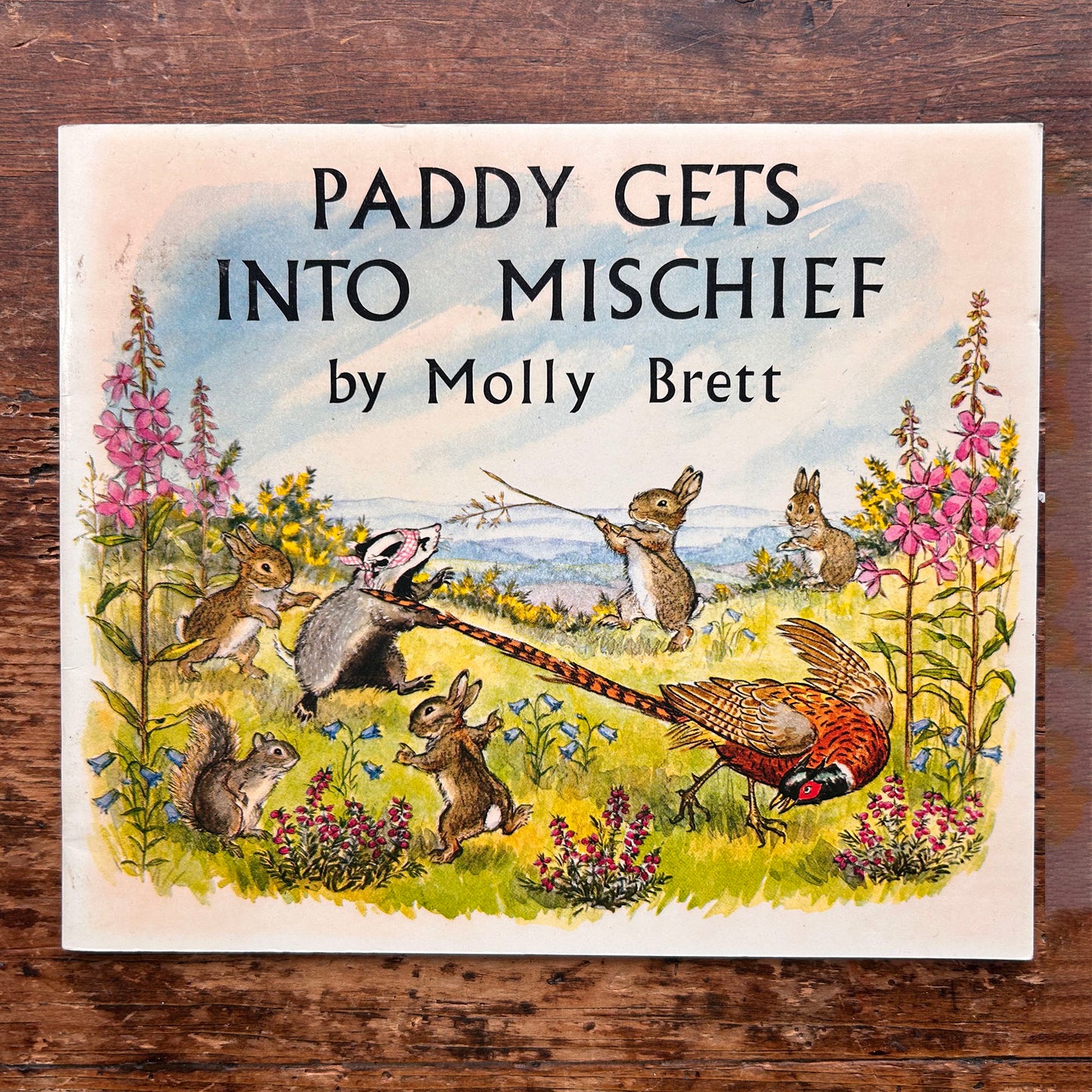 Paddy Gets into Mischief  - Molly Brett - Vintage 1972 (Preloved)