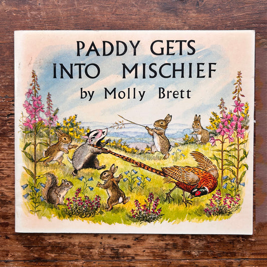 Paddy Gets into Mischief  - Molly Brett - Vintage 1972 (Preloved)