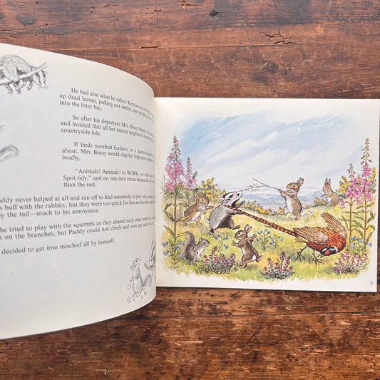 Paddy Gets into Mischief  - Molly Brett - Vintage 1972 (Preloved)