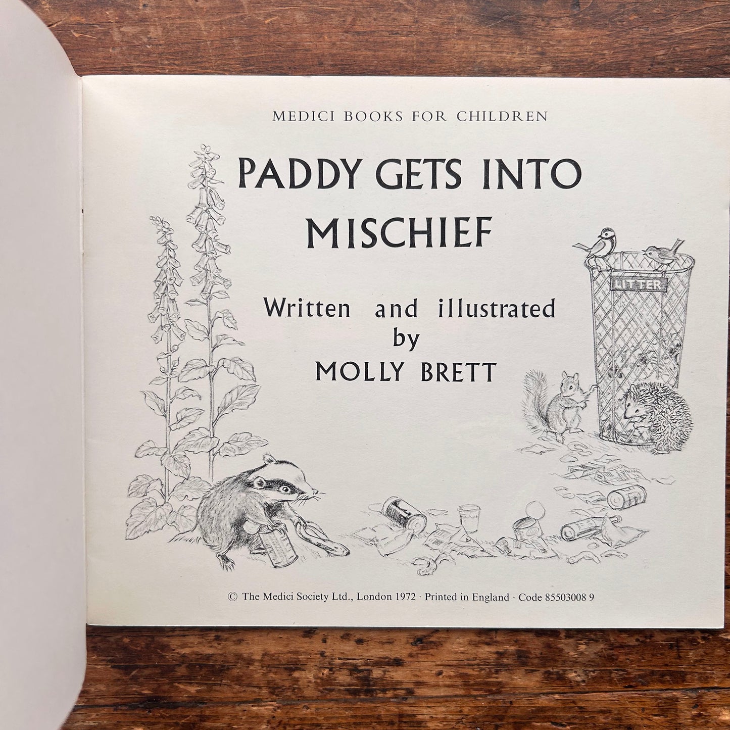 Paddy Gets into Mischief  - Molly Brett - Vintage 1972 (Preloved)