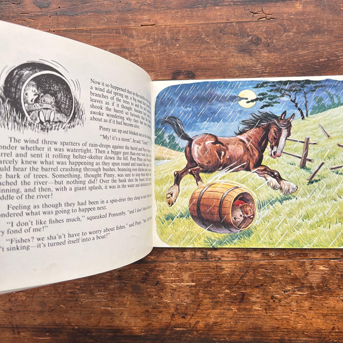 Pinny's Holiday - Racey Helps - Vintage 1970 (Preloved)