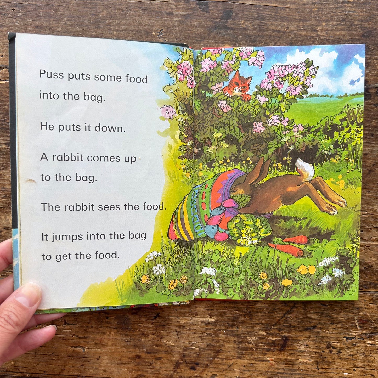 Read it Yourself - Puss in Boots - Vintage Ladybird 1978 (Preloved)