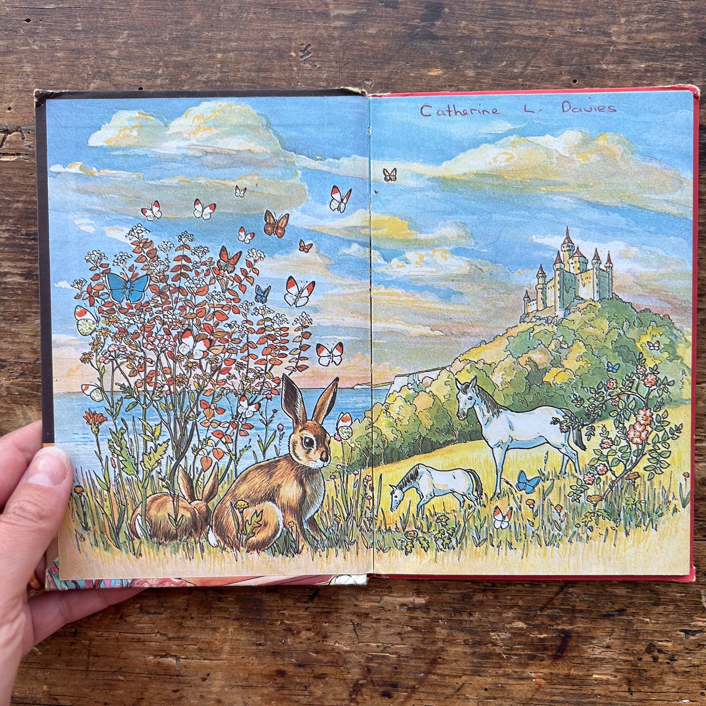 Read it Yourself - Rapunzel - Vintage Ladybird 1980 (Preloved)