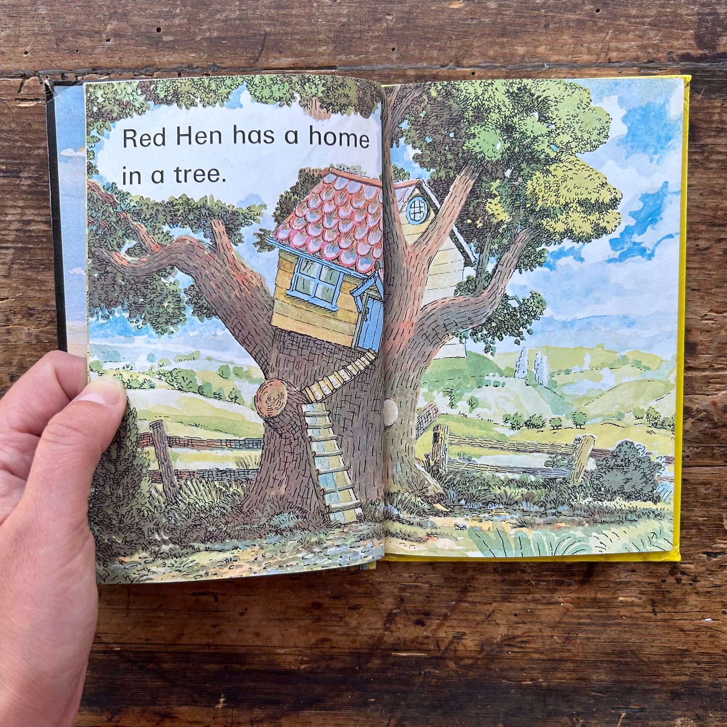 Read it Yourself - The Sly Fox and Red Hen - Vintage Ladybird 1988 (Preloved)