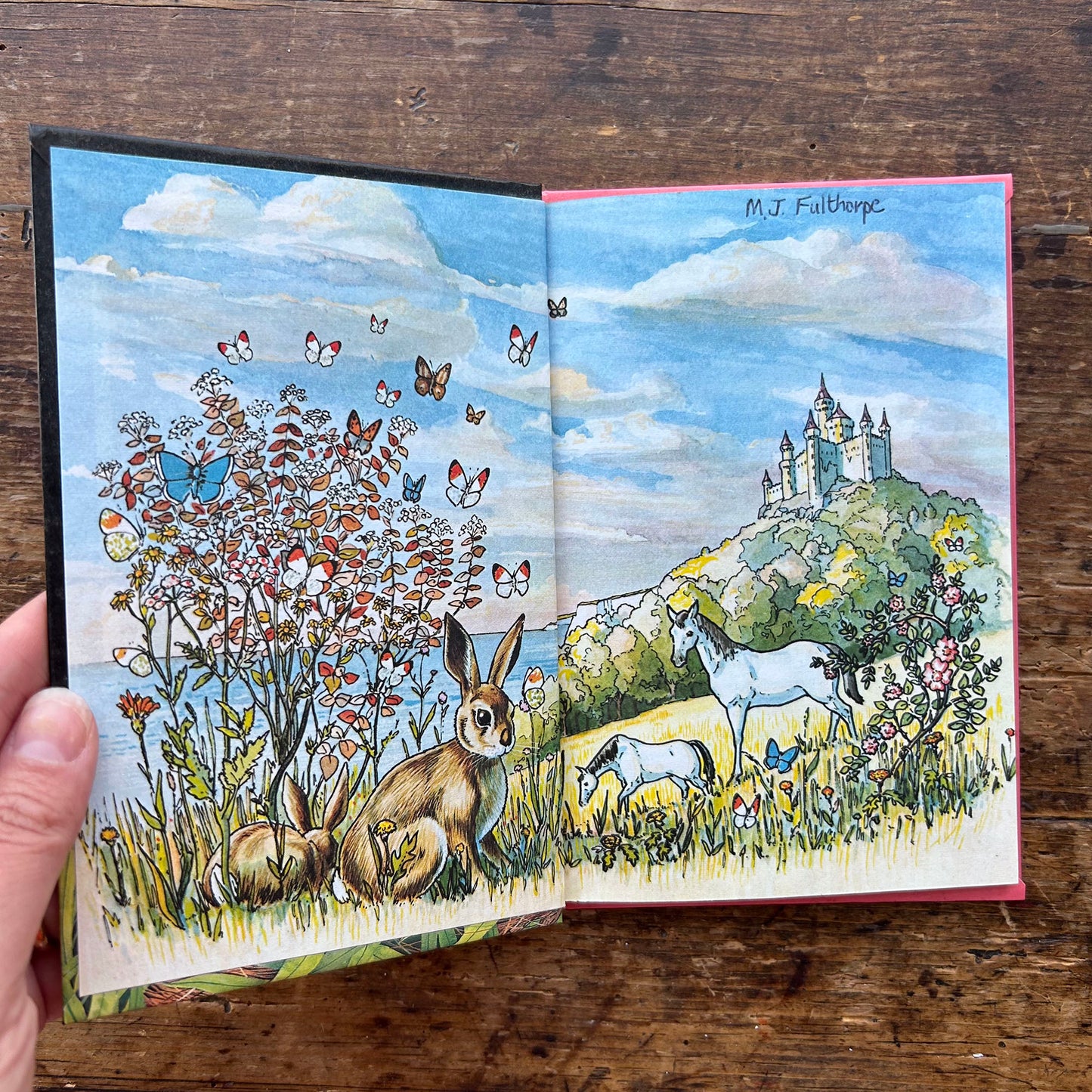Read it Yourself - The Ugly Duckling - Vintage Ladybird 1985 (Preloved)