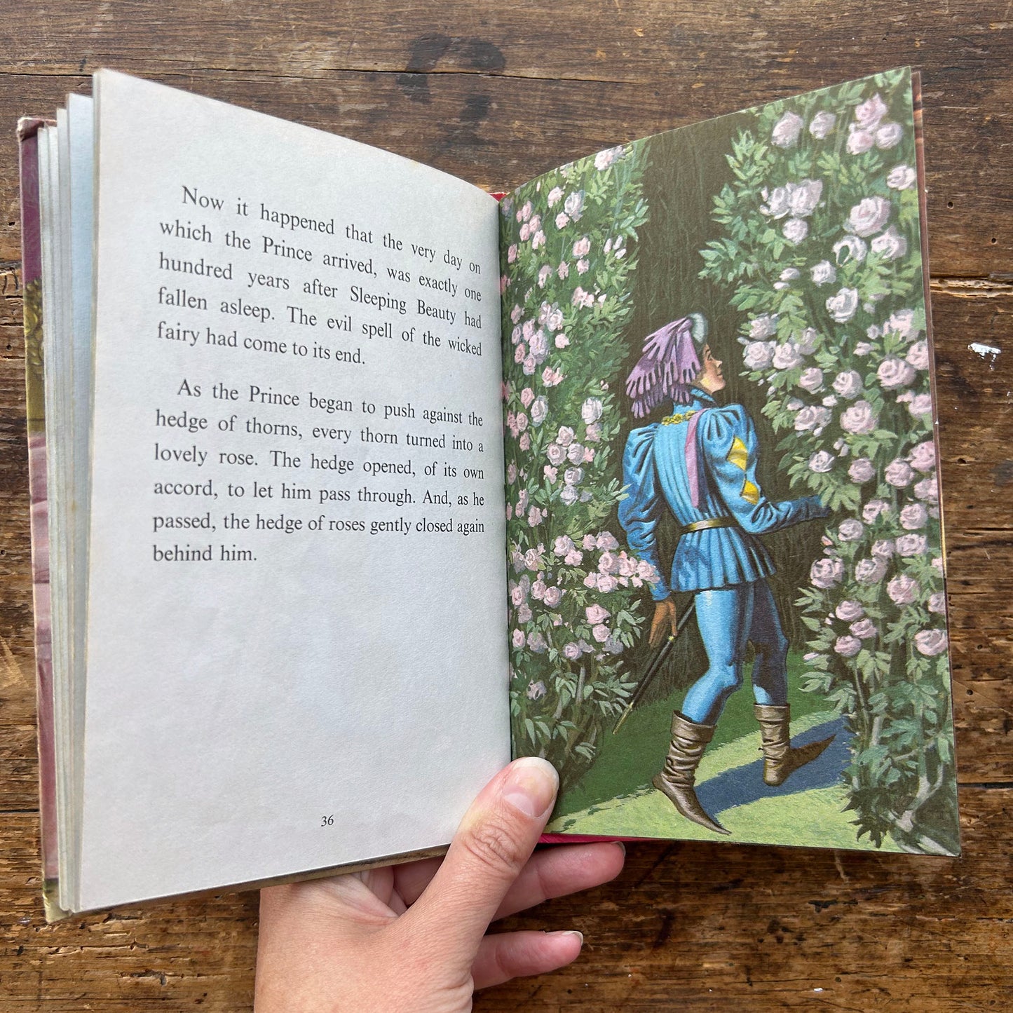 Sleeping Beauty - Vintage Ladybird Easy Reading Book - Well Loved Tales 1965 (Preloved)