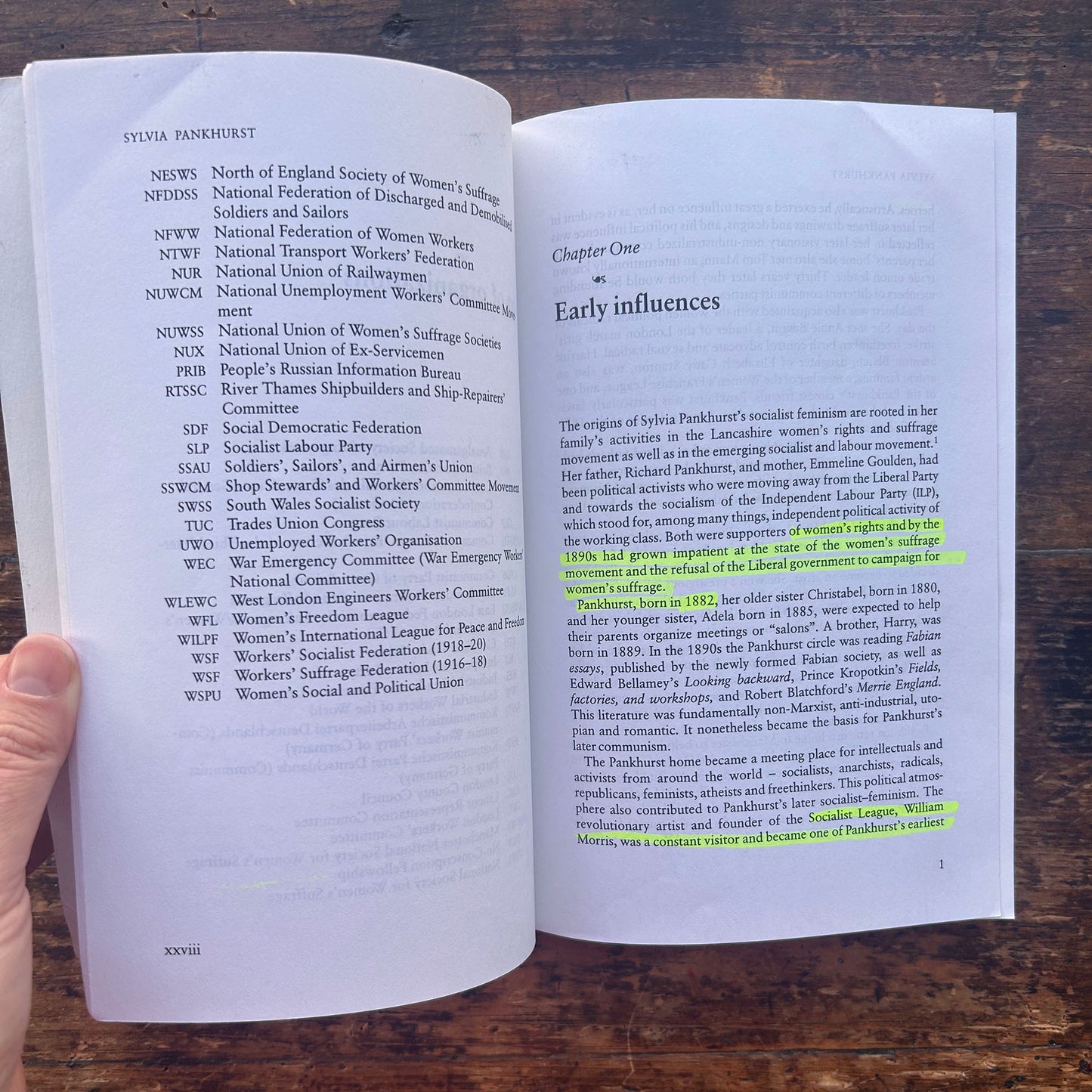 Sylvia Pankhurst - Sexual Politics and Political Activism - Barbara Winslow (Preloved)