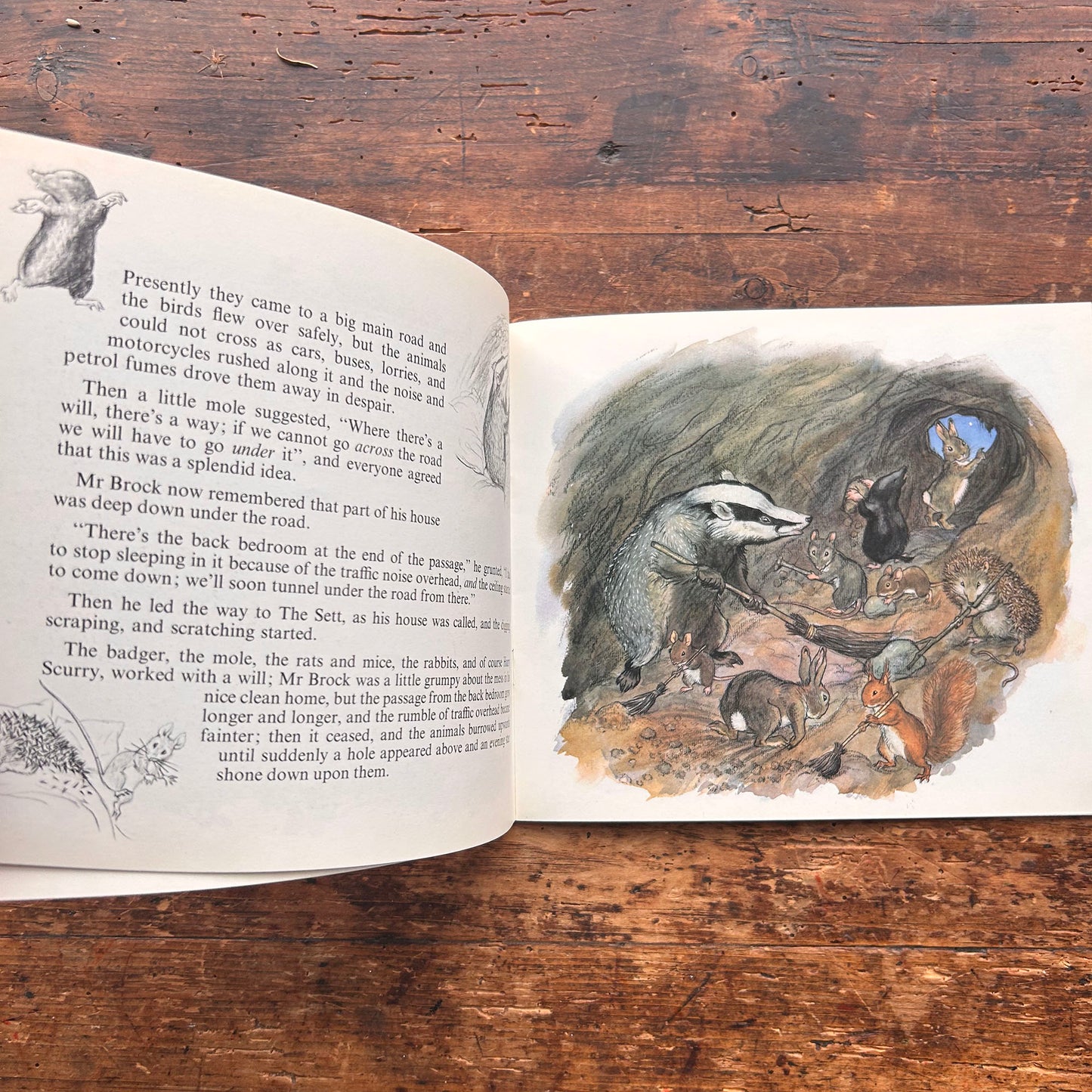 The Hare in a Hurry - Molly Brett - Vintage 1975 (Preloved)