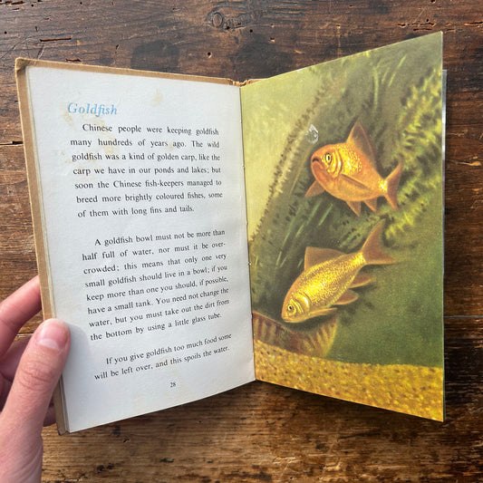 The Ladybird Book of Pets - George Cansdale - 1957 1st Edition (Preloved)