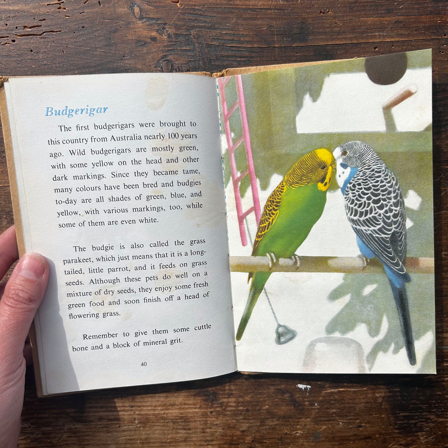 The Ladybird Book of Pets - George Cansdale - 1957 1st Edition (Preloved)