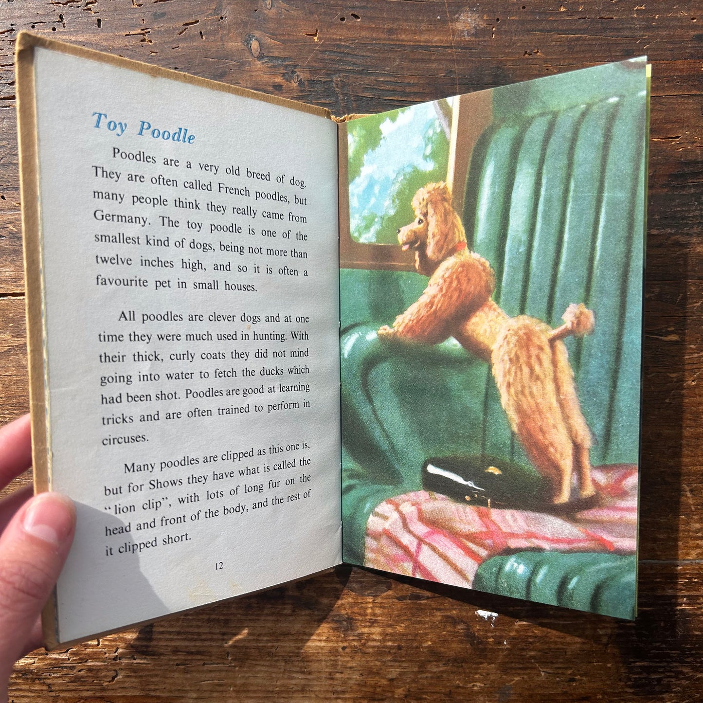 The Ladybird Book of Pets - George Cansdale - 1957 1st Edition (Preloved)