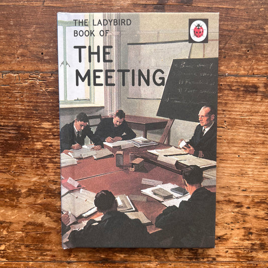 The Ladybird Book of: The Meeting (Preloved)