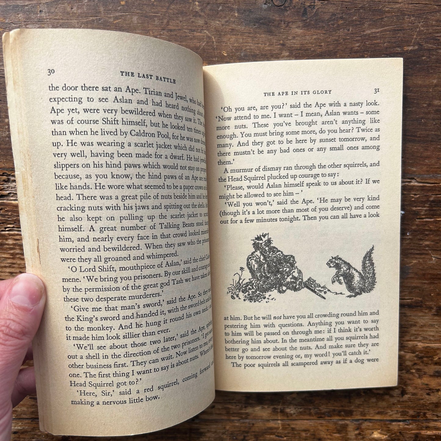 The Last Battle - C. S. Lewis - Vintage Puffin - 1969 (Preloved)