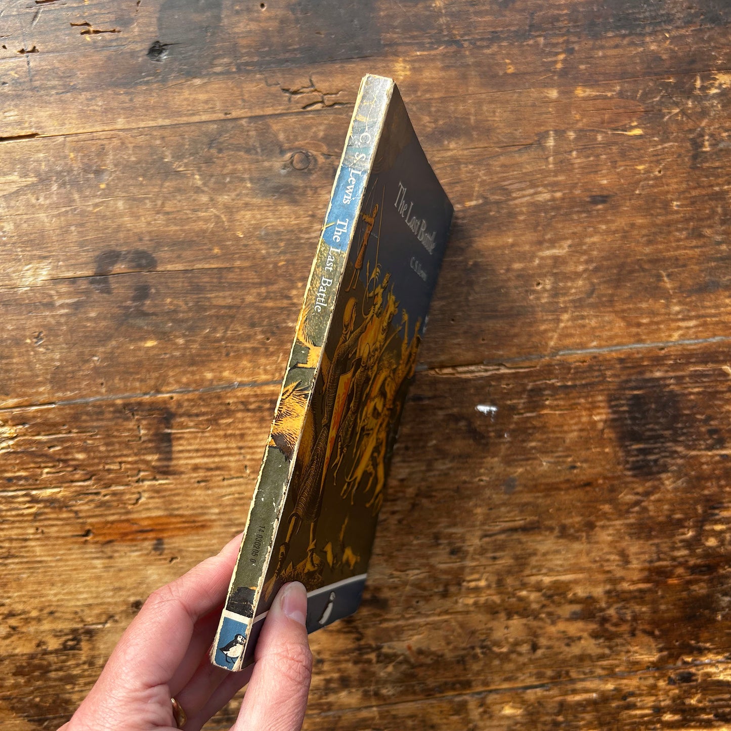 The Last Battle - C. S. Lewis - Vintage Puffin - 1969 (Preloved)
